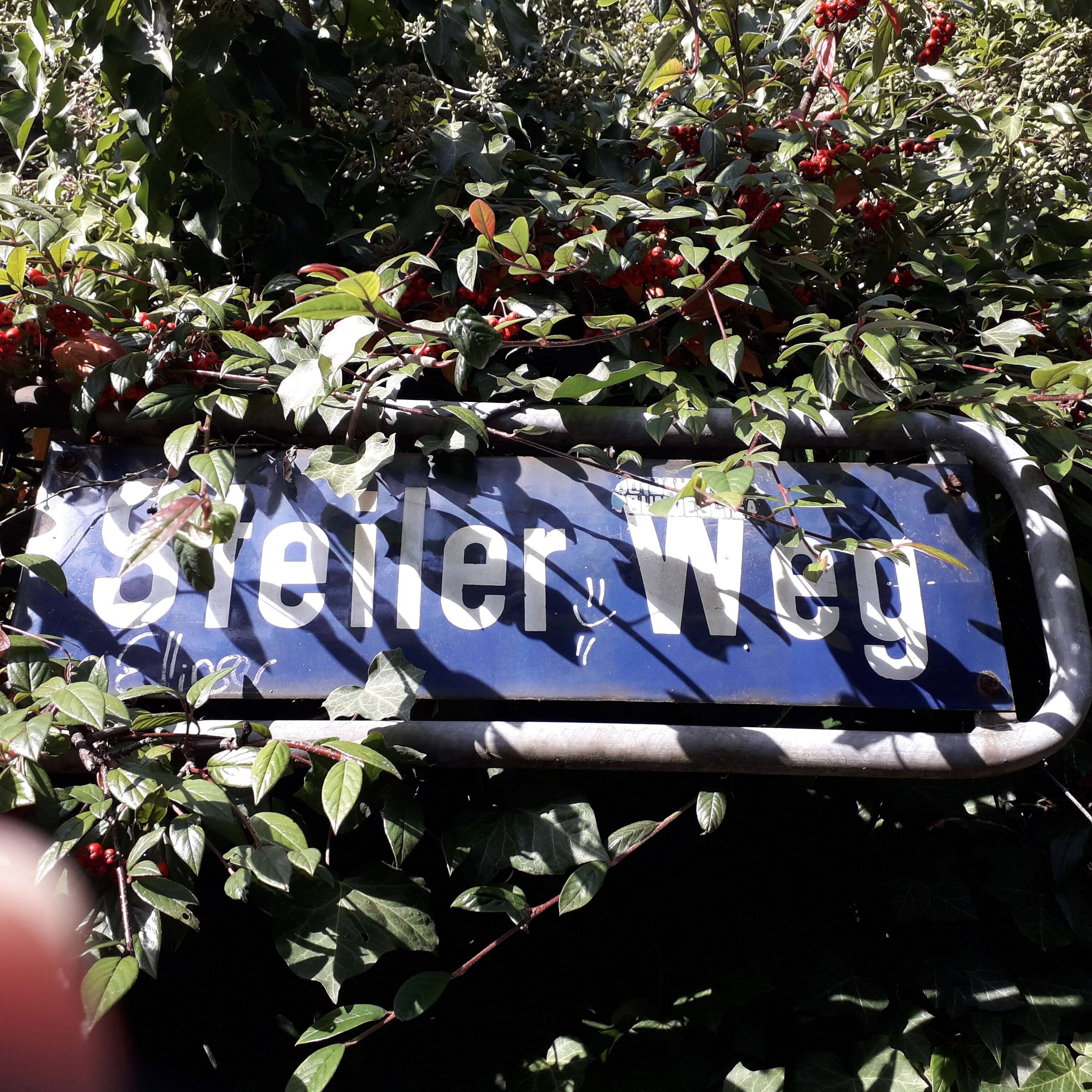 Property thumbnail 9