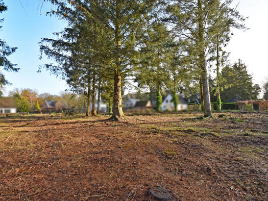 Grundstück zum Kauf 1.100.000 € 2.287 m² Grundstück Aumühle 21521