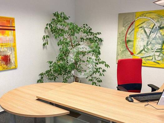 Büro zur Miete provisionsfrei 15 € 245 m² Bürofläche teilbar ab 245 m² Nord Stuttgart 70191