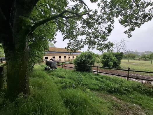Haus zum Kauf 519.400 € 140 m² 28.578 m² Grundstück Sud Mamers 72600