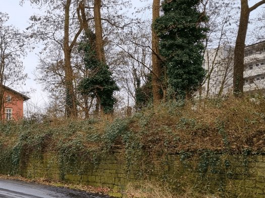 Grundstück zum Kauf 380.000 € 2.021 m² Grundstück Hochdahl Erkrath 40699