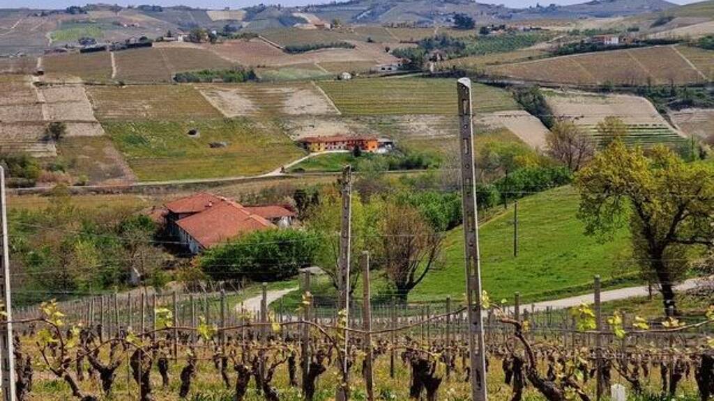 Einfamilienhaus zum Kauf 275.000 € 7 Zimmer 240 m² 2.100 m² Grundstück Coazzolo 12050