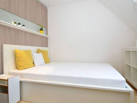 Wohnung zur Miete Wohnen auf Zeit 835 € 1 Zimmer 21 m² frei ab sofort Innenstadt Erlangen 91054