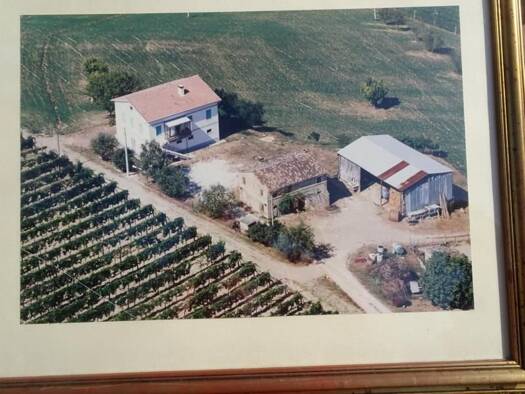 Bauernhaus zum Kauf 258.000 € 350 m² 70.000 m² Grundstück Da Indaco Monte Rinaldo 63852