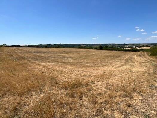 Landwirtschaftliche Fläche zum Kauf Gnodstadt Marktbreit 97340