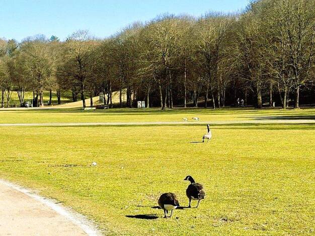 Wohnung zum Kauf provisionsfrei 569.000 € 3 Zimmer 79,5 m² EG Westendstrasse 266a Laim München 80686