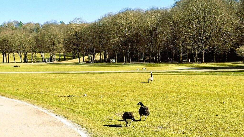 Wohnung zum Kauf provisionsfrei 569.000 € 3 Zimmer 79,5 m² EG Westendstrasse 266a Laim München 80686