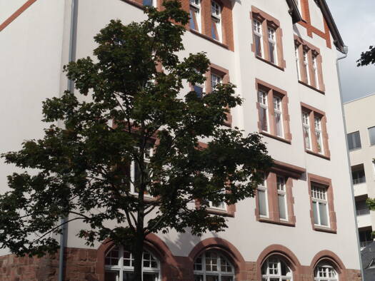 Büro zur Miete provisionsfrei 5.200 € 234 m² Bürofläche Bornheim Frankfurt am Main 60385