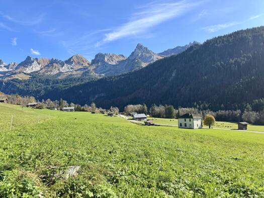 Sonstiges zum Kauf 3.790.000 € 8 Zimmer 1.773 m² Grundstück LE GRAND BORNAND 74450