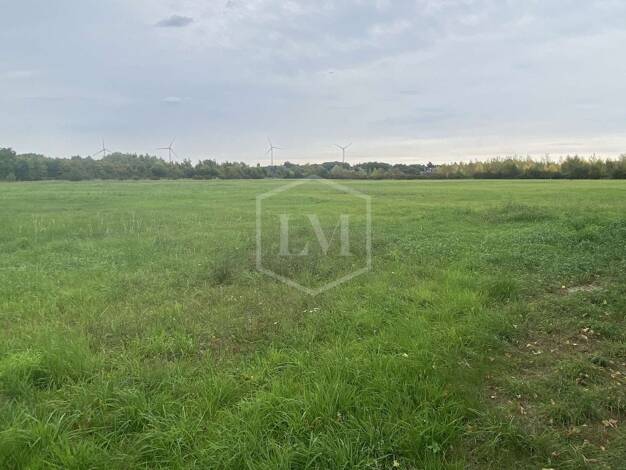 Landwirtschaftliche Fläche zum Kauf 495.000 € 87.462 m² Grundstück Geisbruch Kamp-Lintfort 47475