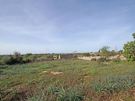 Grundstück zum Kauf provisionsfrei 775.000 € 19.309 m² Grundstück Baugenehmigung vorhanden la Figuera