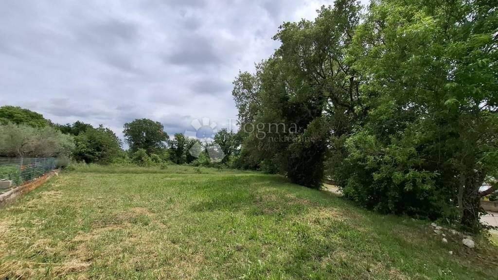 Land-/Forstwirtschaft zum Kauf 140.000 € Luka