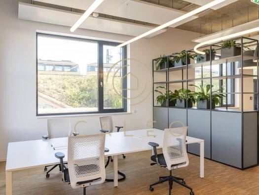 Bürokomplex zur Miete provisionsfrei 500 m² Bürofläche teilbar ab 1 m² Oststadt Karlsruhe 76137