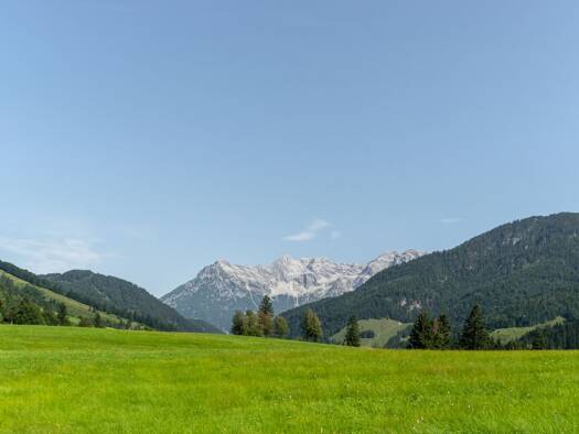 Wohnung zum Kauf 557.000 € 3 Zimmer 75 m² EG Hochfilzen 6395