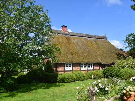 Bauernhaus zum Kauf 560.000 € 4 Zimmer 201 m² 2.540 m² Grundstück Barbrake Asendorf 27330