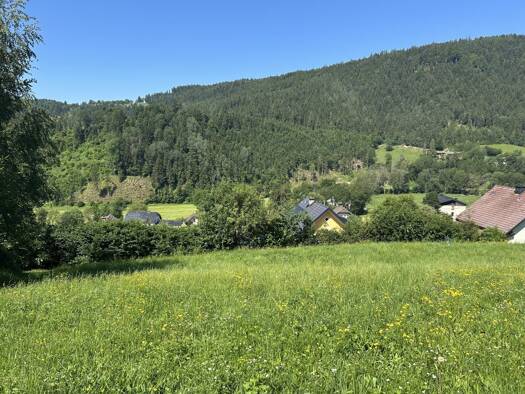 Grundstück zum Kauf 35.000 € 994 m² Grundstück Klein St. Paul 9374