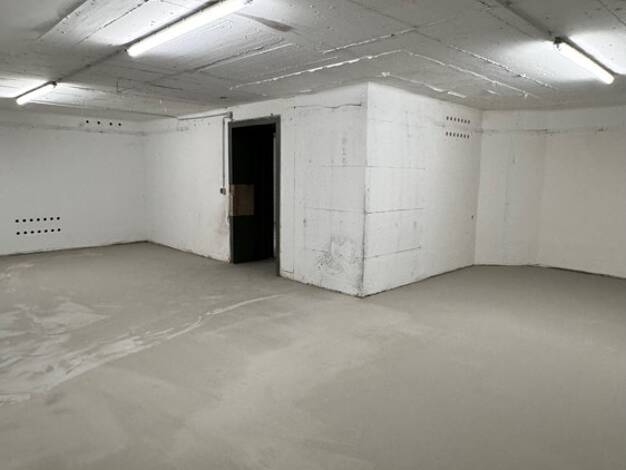 Lagerhalle zur Miete 240 € 81 m² Lagerfläche Sulzbachstraße 24 - 26 Saarbrücken 66111