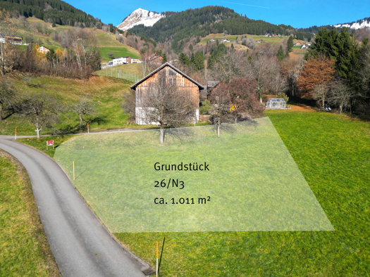 Grundstück zum Kauf 278.025 € 1.011 m² Grundstück Lehenweg Sankt Gerold 6722