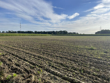 Land-/Forstwirtschaft zum Kauf 10 € 25.485 m² Grundstück Recklingsen Welver 59514