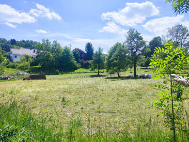 Grundstück zum Kauf 219.000 € 730 m² Grundstück Oberbalzheim Balzheim 88481