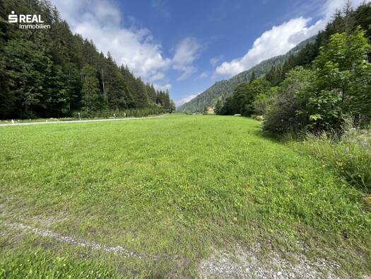 Land-/Forstwirtschaft zum Kauf 185.000 € 52.138 m² Grundstück Murau 8850