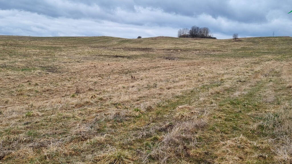 Land-/Forstwirtschaft zum Kauf 60 CZK Chodský Újezd 34701