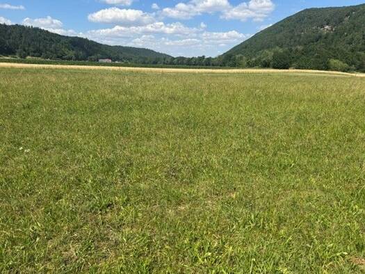 Grundstück zum Kauf 111.670 € 859 m² Grundstück Gleißenfeld 2831