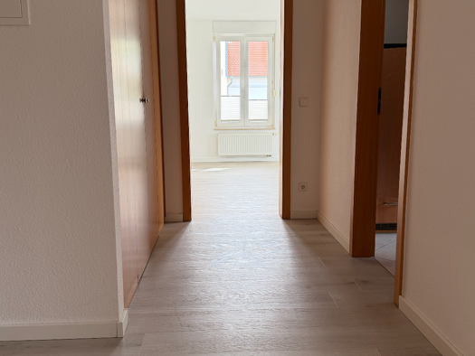 Wohnung zur Miete 610 € 2 Zimmer 55 m² Geschoss 2/3 frei ab 01.05.2026 Tolkewitz/Seidnitz-Nord Dresden 01279