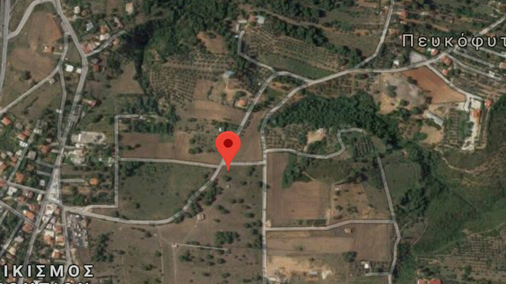 Land-/Forstwirtschaft zum Kauf 1.000.000 € 148.000 m² Grundstück Athen