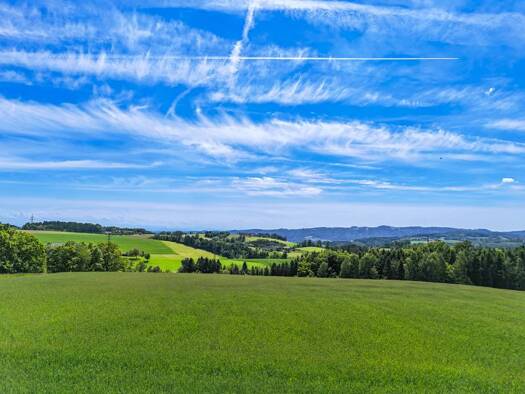 Mehrfamilienhaus zum Kauf 1.800.000 € 10 Zimmer 372 m² 1.601 m² Grundstück St. Martin im Mühlkreis 4113