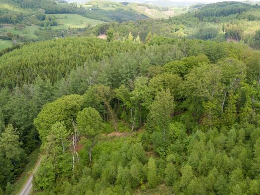 Forstwirtschaft zum Kauf 414.000 € 229.370 m² Grundstück Brüninghausen Lüdenscheid 58513