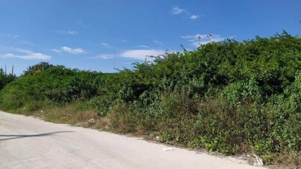 Grundstück zum Kauf 165.000 € 875 m² Grundstück Sisal (Hunucma) bei Merida 97356