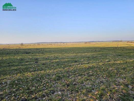 Land-/Forstwirtschaft zum Kauf 38.500 € 22.897 m² Grundstück Windbergen 25729