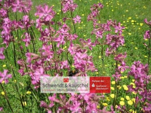 Freizeitgrundstück zum Kauf 18.000 € 11.956 m² Grundstück Hartmannshain Grebenhain 36355