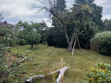 Grundstück zum Kauf 450.000 € 1.000 m² Grundstück Ludwigsfelde Großbeuthen 14974