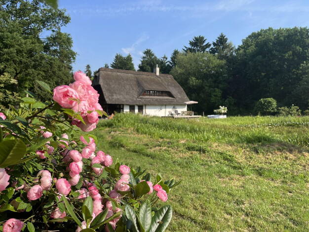 Einfamilienhaus zum Kauf provisionsfrei 585.000 € 5 Zimmer 198 m² 5.000 m² Grundstück Dahldorfer Str. 19 Gnarrenburg Gnarrenburg 27442