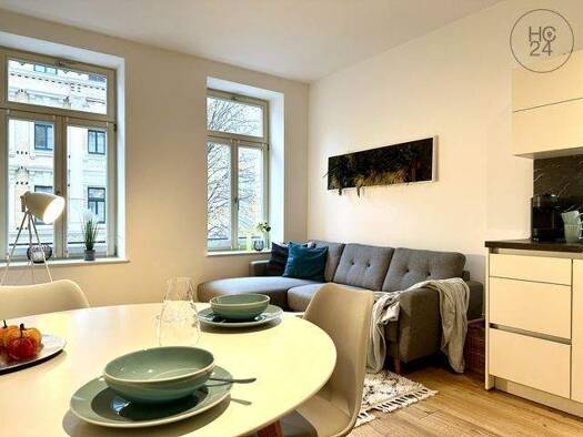Wohnung zur Miete Wohnen auf Zeit 990 € 2 Zimmer 49 m² frei ab 05.01.2026 Lindenau Leipzig 04177