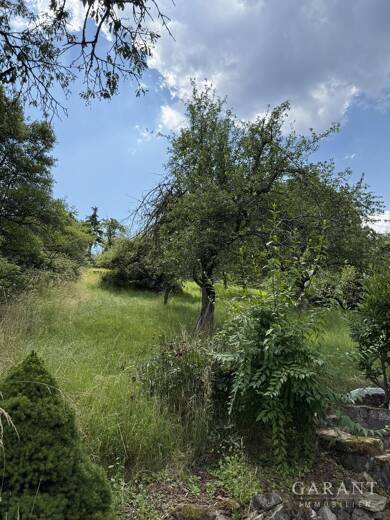 Freizeitgrundstück zum Kauf 19.500 € 520 m² Grundstück Geradstetten Remshalden 73630