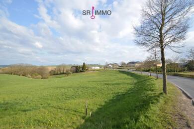 Grundstück zum Kauf 60.780 € 1.013 m² Grundstück Dauwelshausen 54673