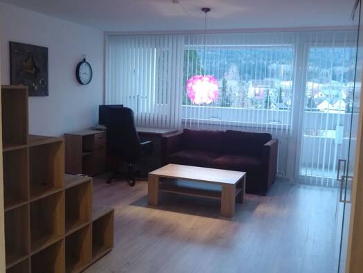 Wohnung zur Miete 700 € 1 Zimmer 40 m² Geschoss 6/7 frei ab 01.02.2026 Weilstetten Balingen 72336