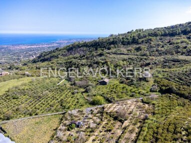 Land-/Forstwirtschaft zum Kauf 700.000 € 75.000 m² Santa Venera Superiore Mascali 95016