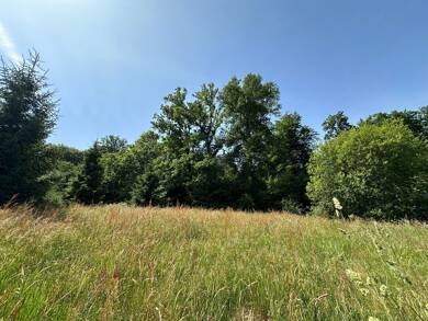 Grundstück zum Kauf 159.000 € 500 m² Grundstück Baugenehmigung vorhanden Rott Roetgen 52159