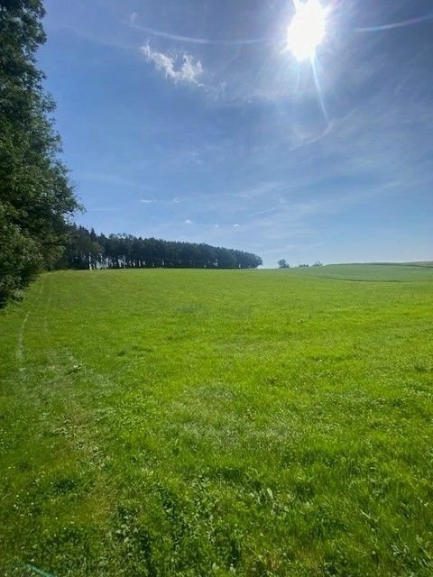 Landwirtschaftliche Fläche zum Kauf 152.900 € 13.900 m²<br/>Grundstück Schellenberg Vilsheim 84186