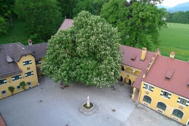 Bürofläche zur Miete provisionsfrei 6.862 € 5 Zimmer 549 m² Bürofläche Schloss Glanegg 2 Grödig 5082