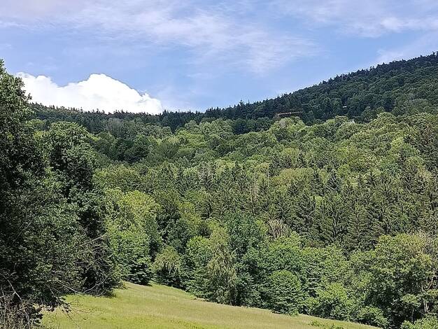 Land-/Forstwirtschaft zum Kauf 45.000 € 18.500 m² Grundstück Liebmannsberg Grattersdorf 94541