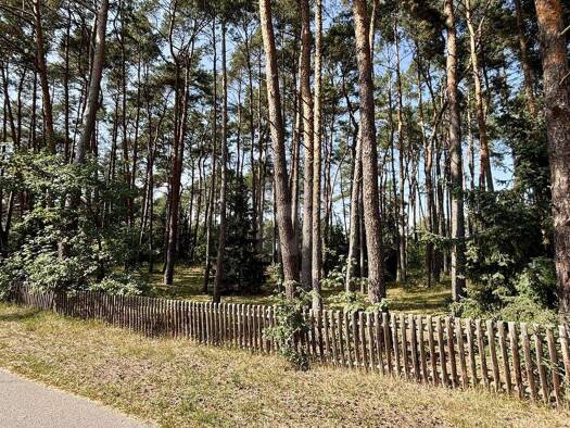 Grundstück zum Kauf 75.000 € 2.444 m² Grundstück Gorleben 29475