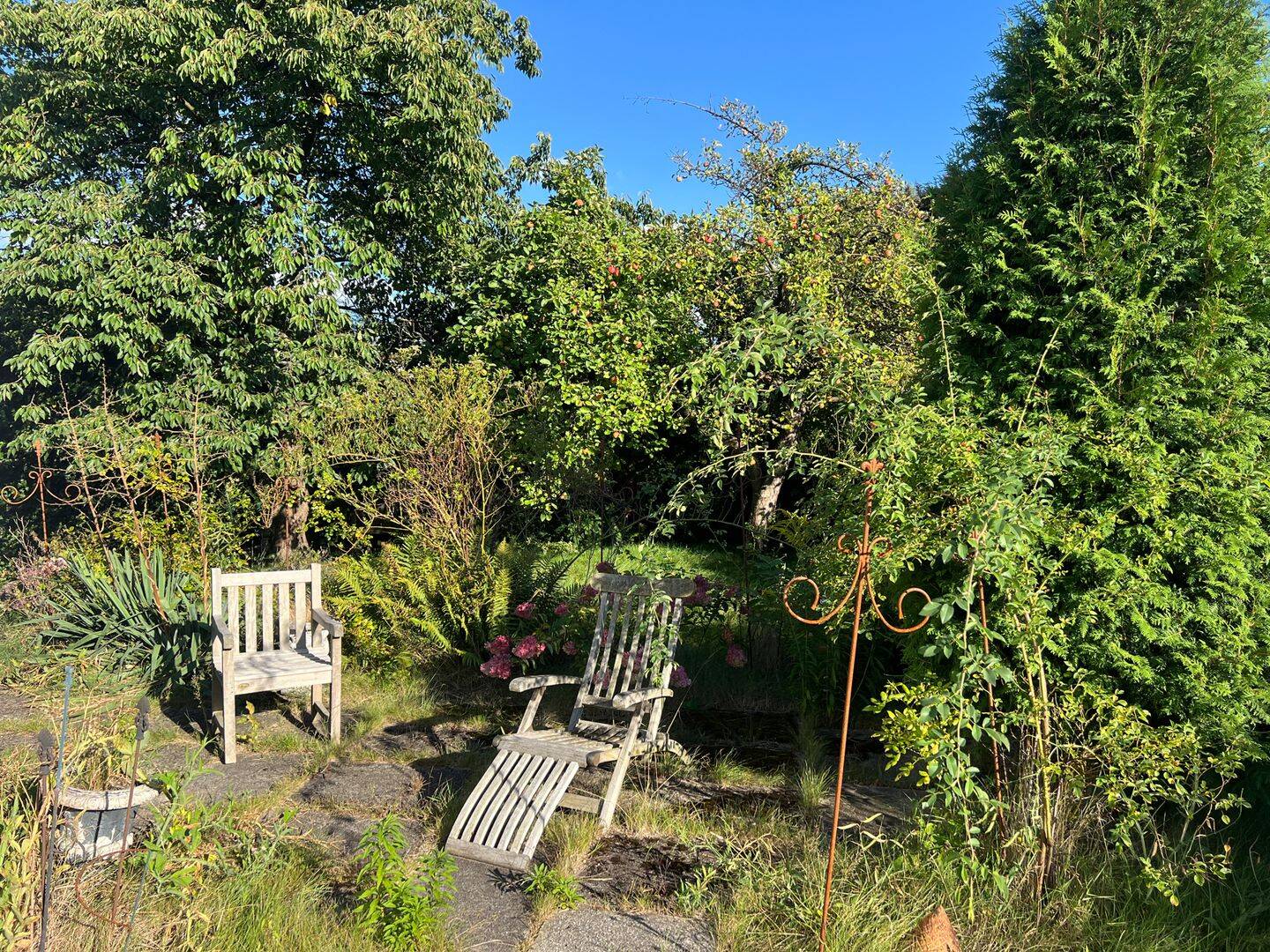 Property thumbnail 5