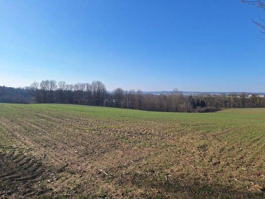 Grundstück zum Kauf 5.319 m² Grundstück frei ab sofort Erlenweg Teisbach Dingolfing 84130