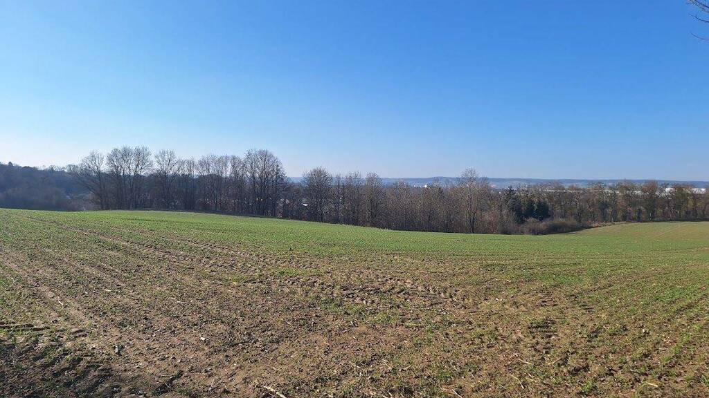 Grundstück zum Kauf 5.319 m² Grundstück frei ab sofort Erlenweg Teisbach Dingolfing 84130