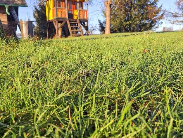 Haus zum Kauf provisionsfrei 250.000 € 160 m² 1.500 m² Grundstück Schweinbach Leutenberg 07338